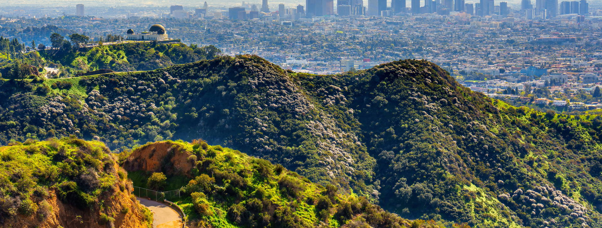 Ubytování MNC (Norwegian Encore) Obrázok0