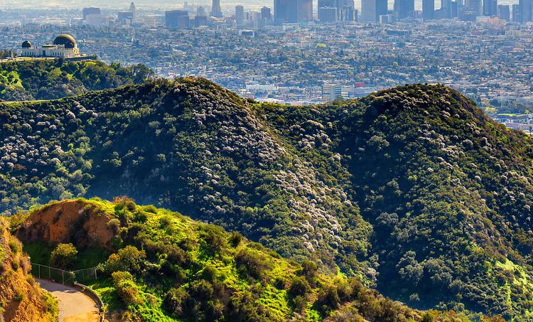 Ubytování MNC (Norwegian Encore)-obr