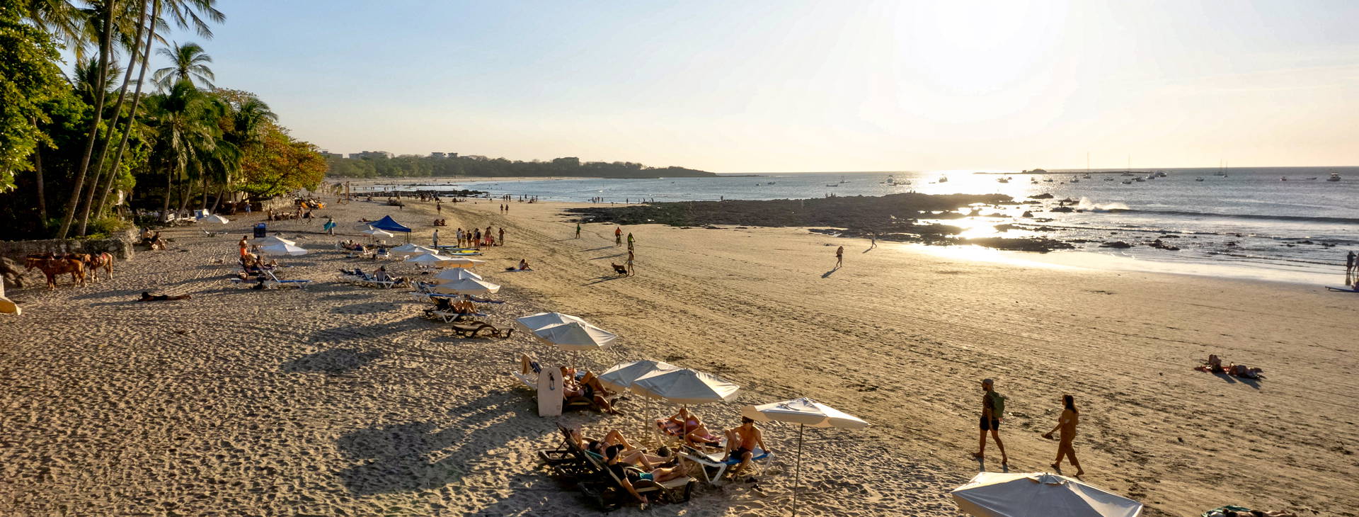 Tamarindo Diria Beach Resort Obrázok13