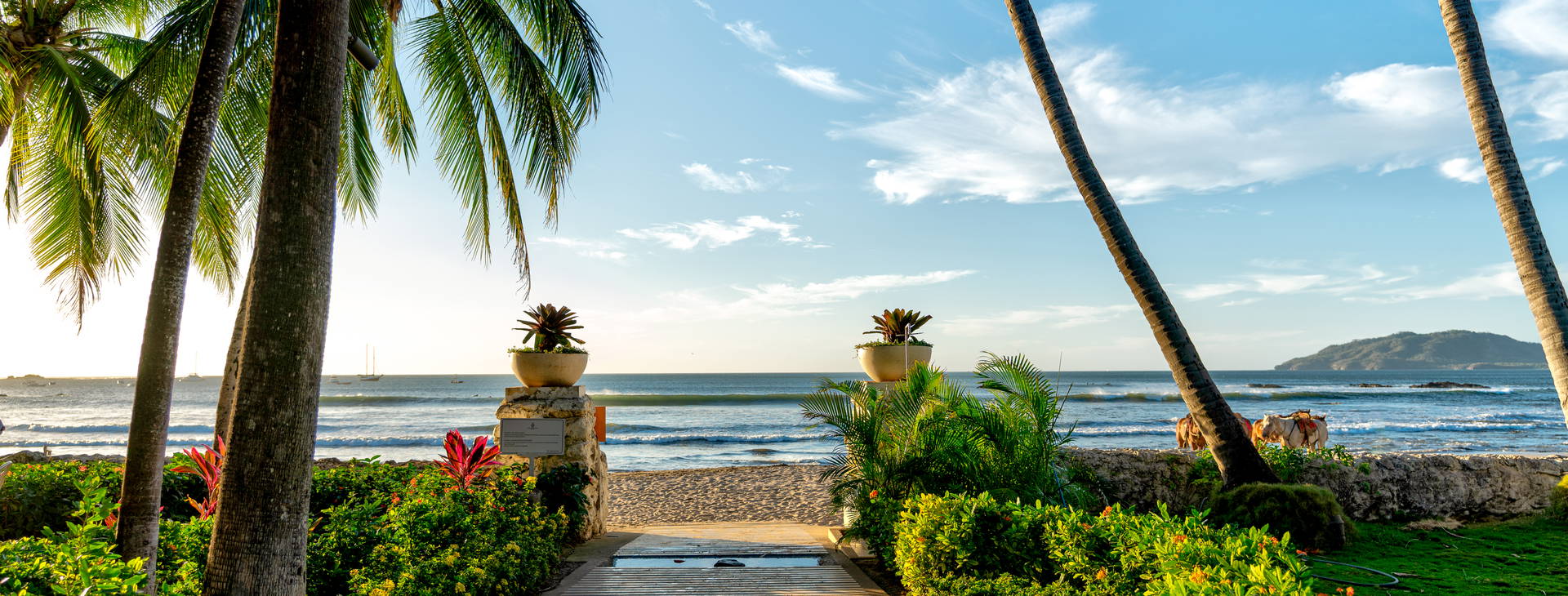 Tamarindo Diria Beach Resort Obrázok10