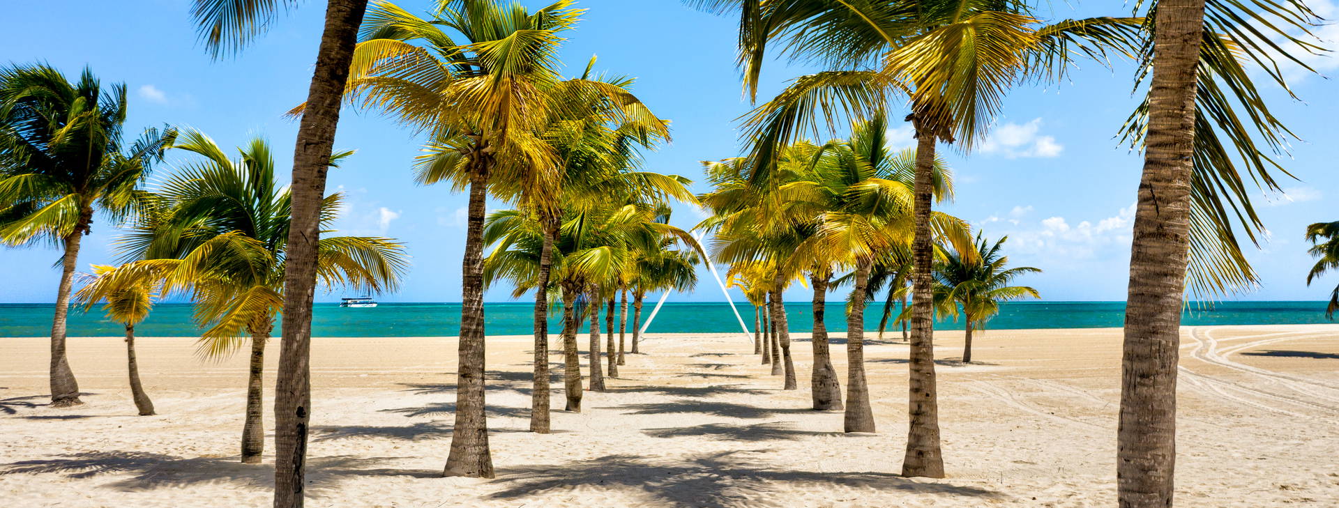 Ubytování RCL (MSC Grandiosa) Obrázok20