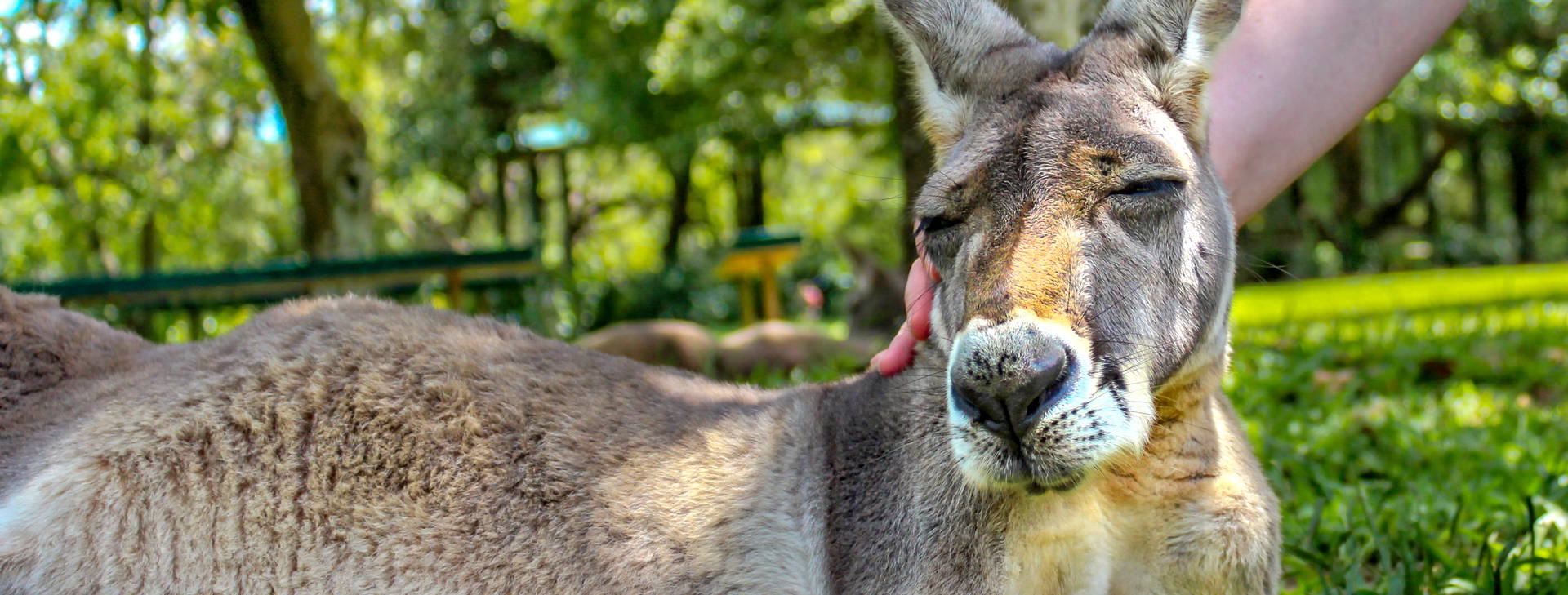 Ubytování AUC Obrázok3