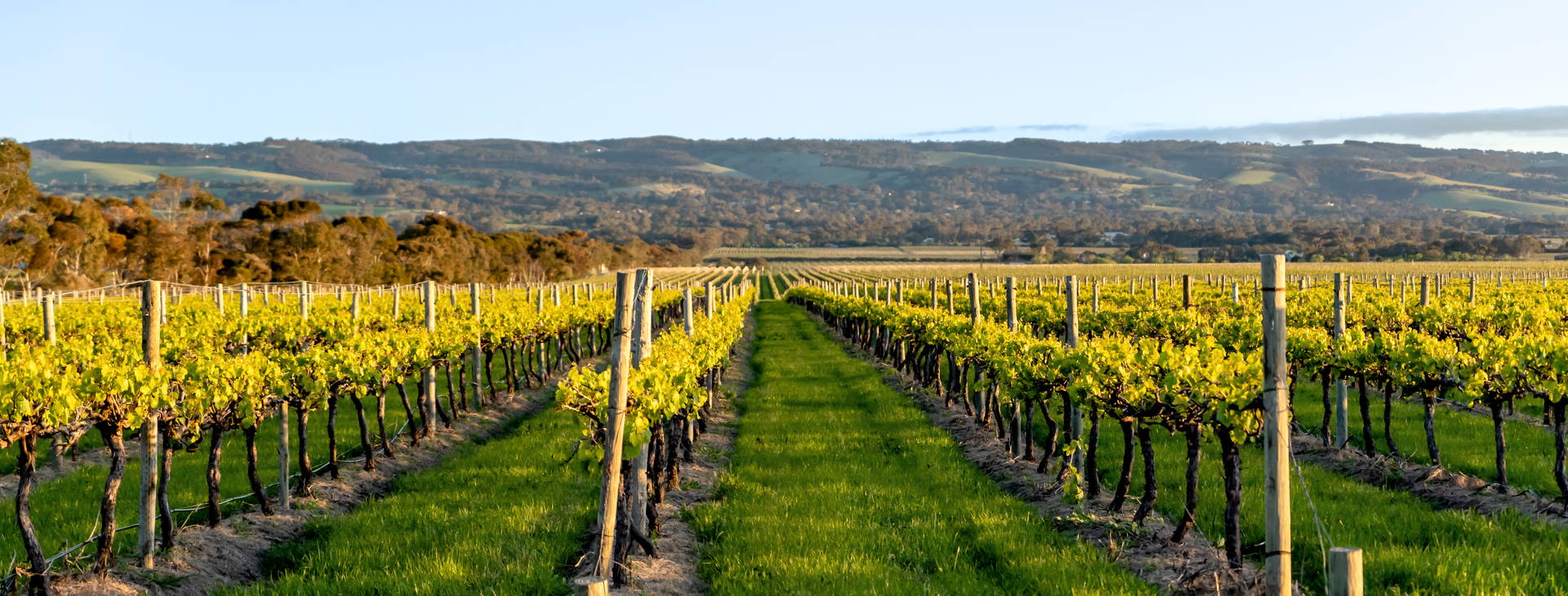 Ubytování AUC Obrázok7