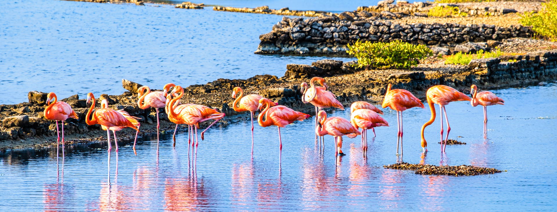 Hotel Papagayo Beach Obrázok35