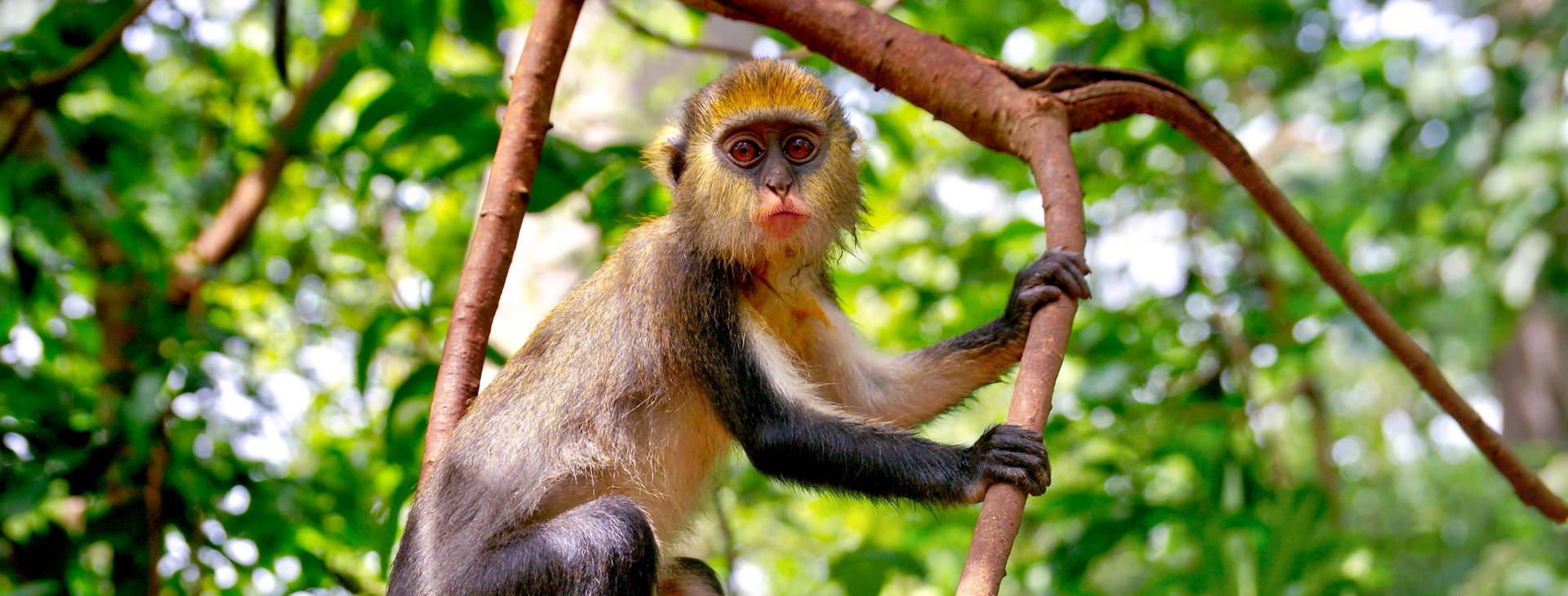 Ubytování GHA Obrázok16