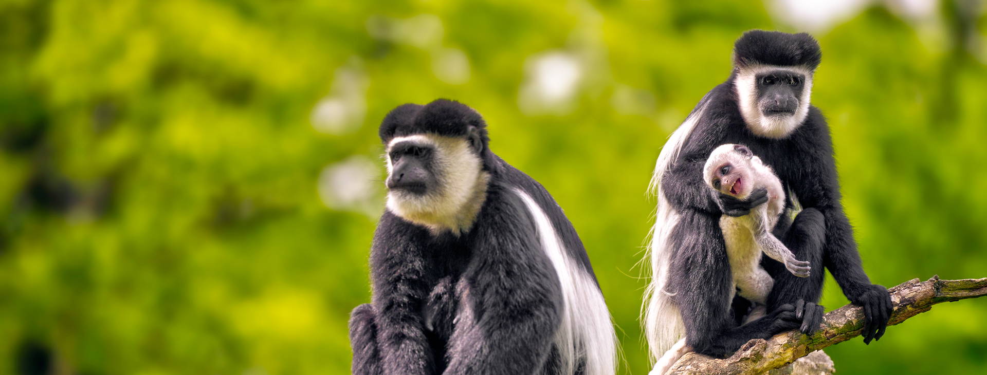 Ubytování GHA Obrázok21