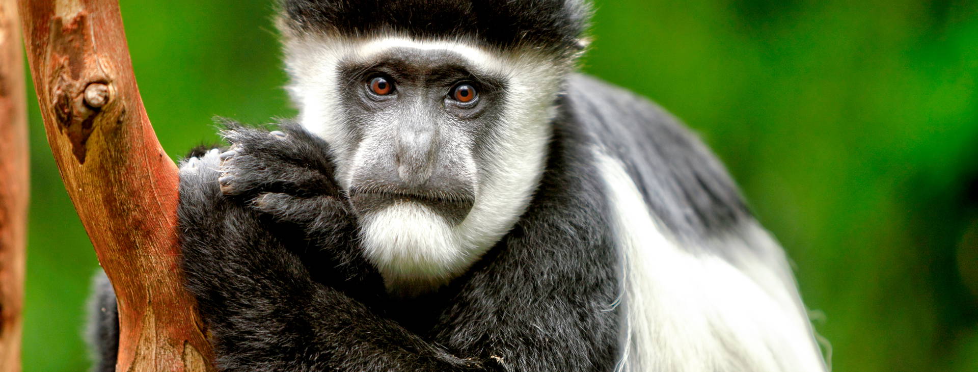 Ubytování GHA Obrázok0