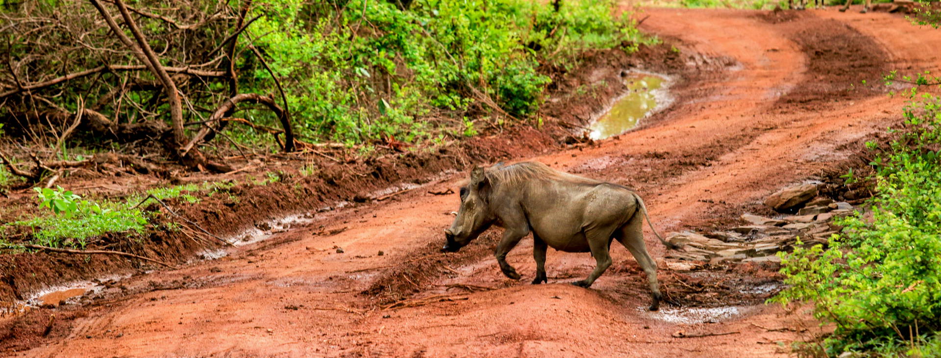 Ubytování GHA Obrázok4