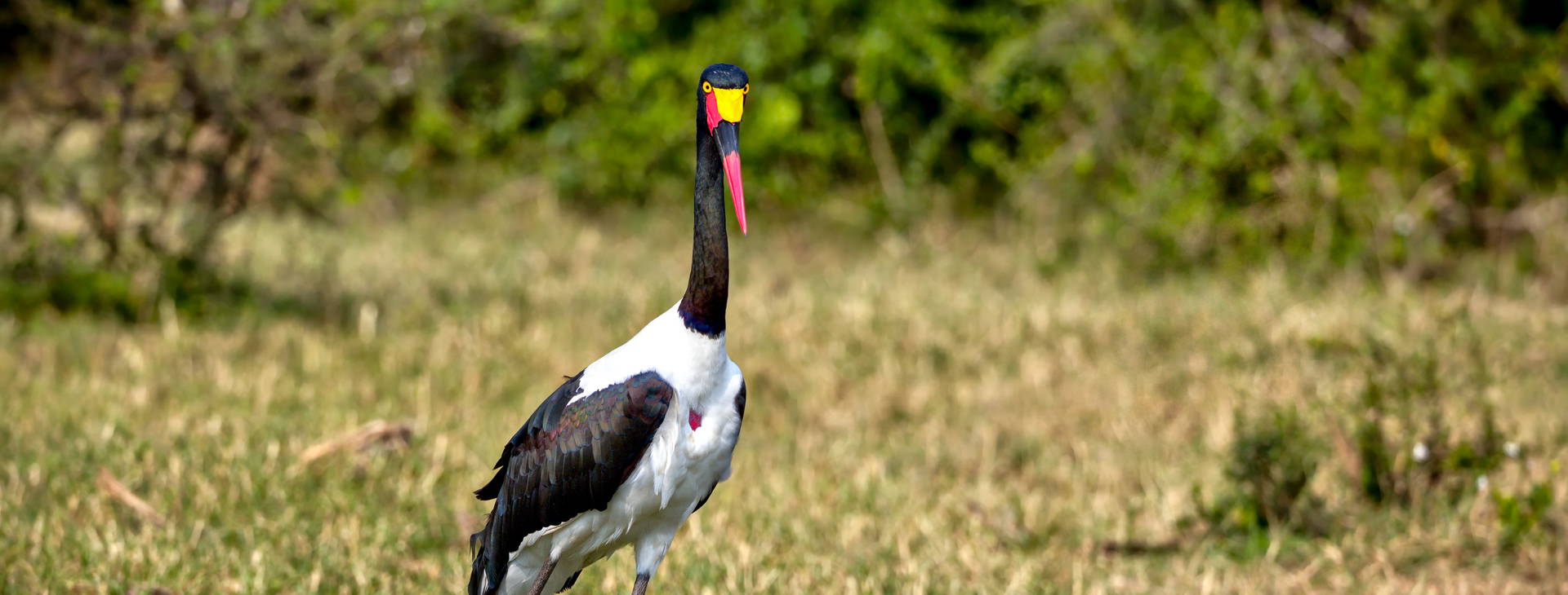 Ubytování GHA Obrázok28