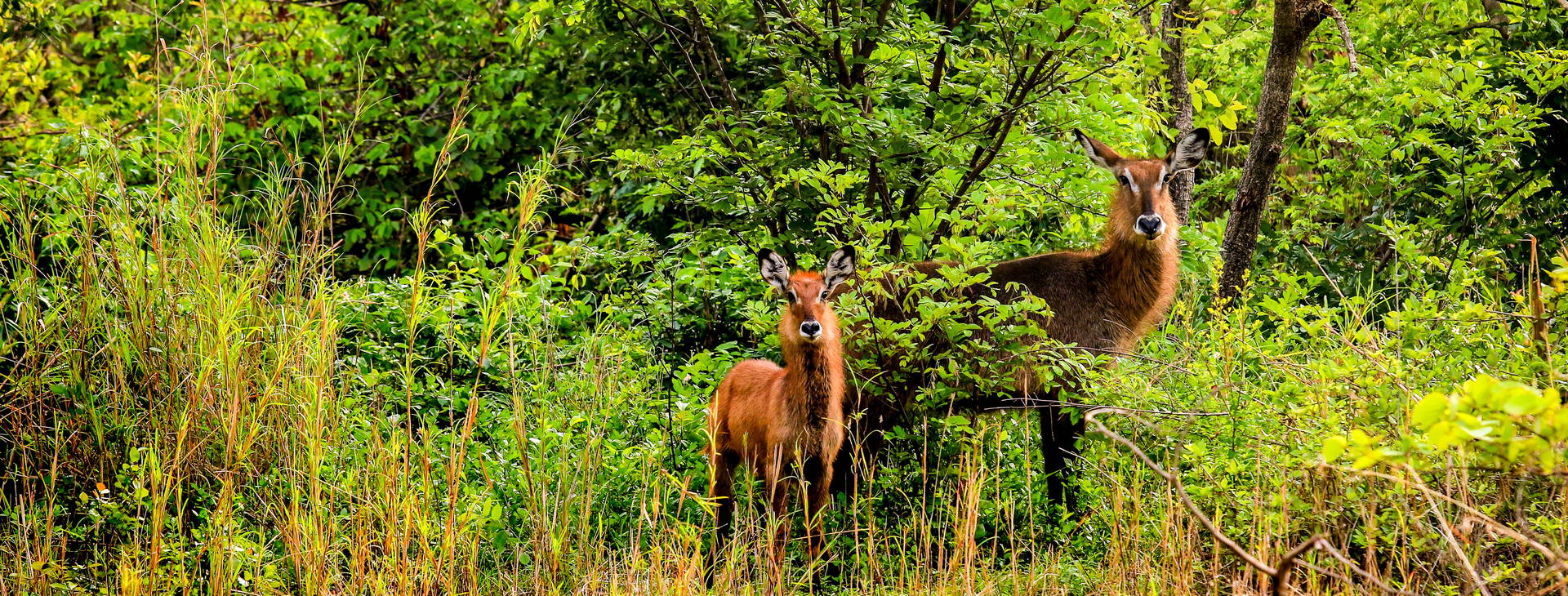 Ubytování GHA Obrázok27