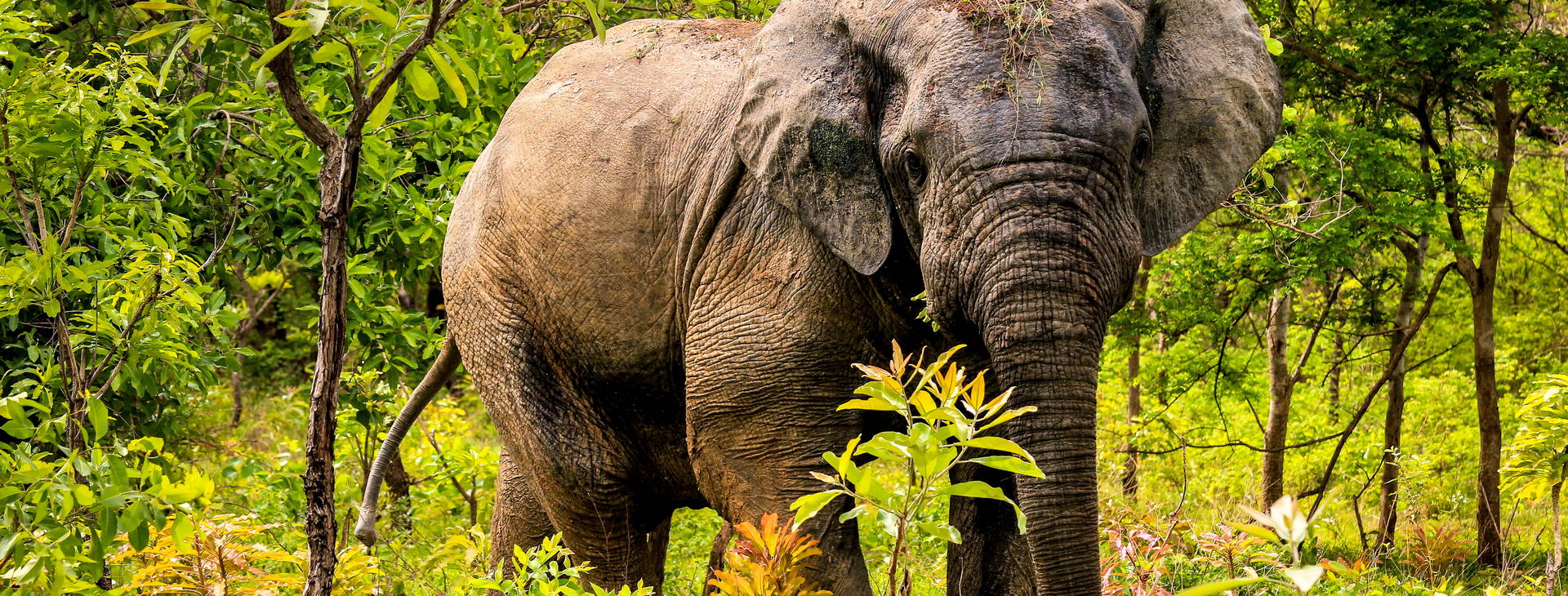 Ubytování GHA Obrázok9