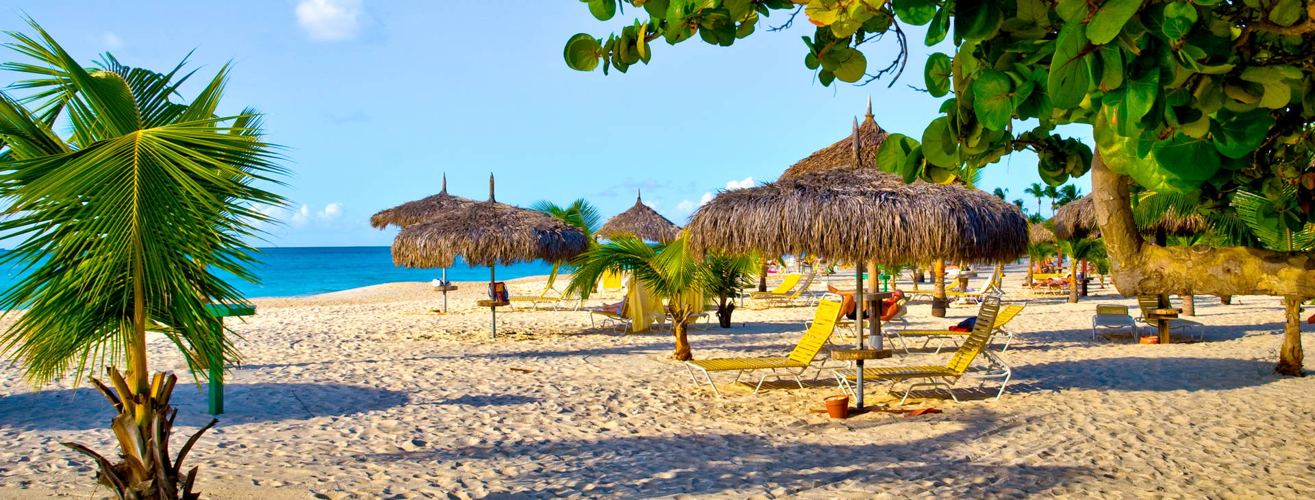 Divi Village Golf & Beach Resort Obrázok27