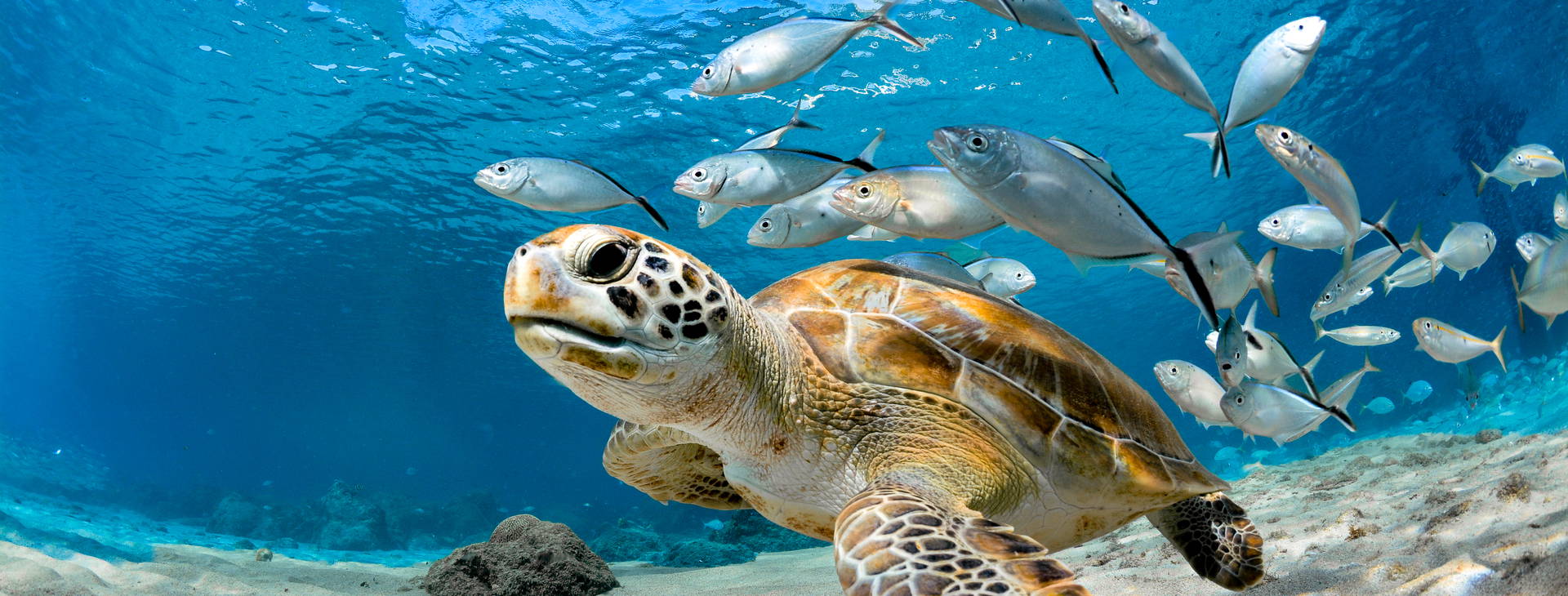 Rancho El Sobrino Resort Obrázok34