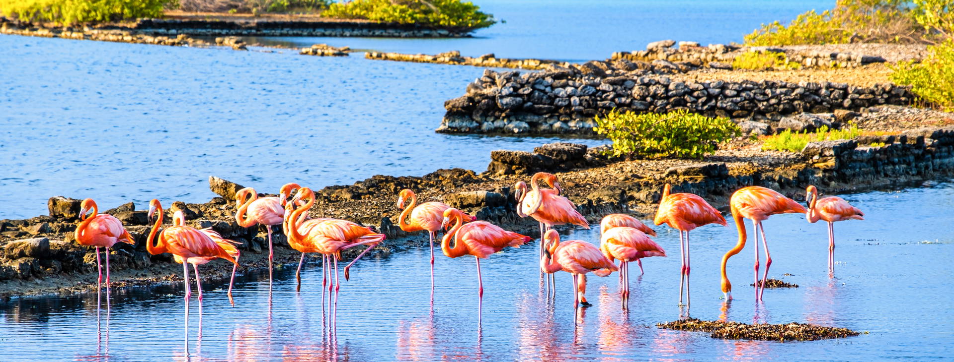 Rancho El Sobrino Resort Obrázok35