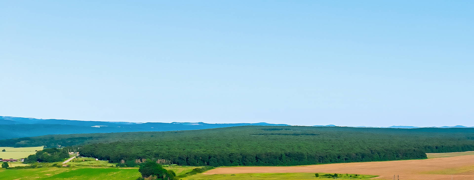 Sunrise All Suites Resort Obrázok8