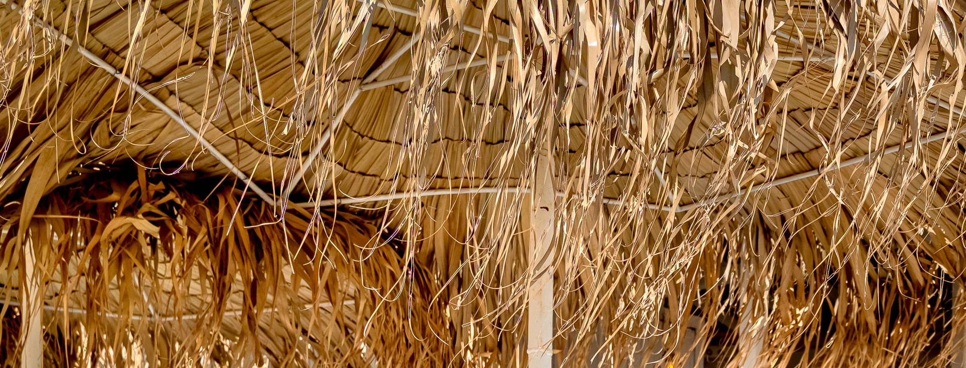 Sunrise All Suites Resort Obrázok37