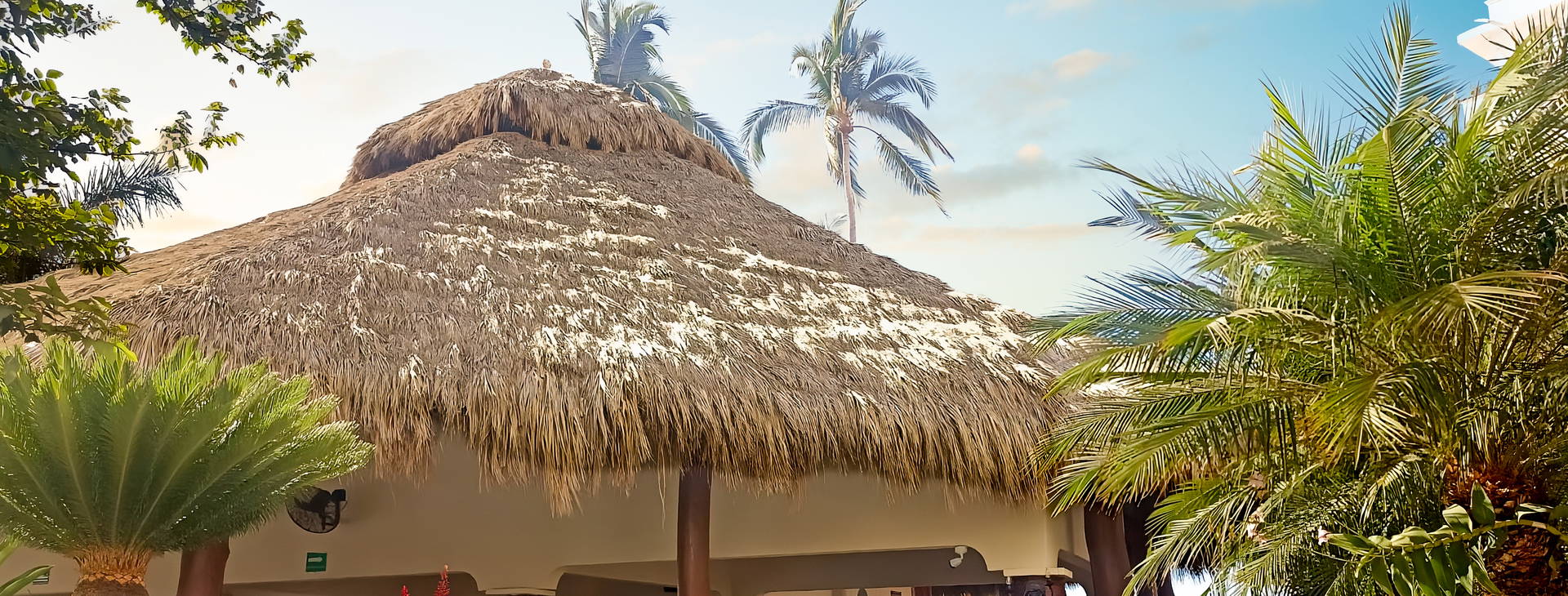 Tropicana Puerto Vallarta Obrázok17