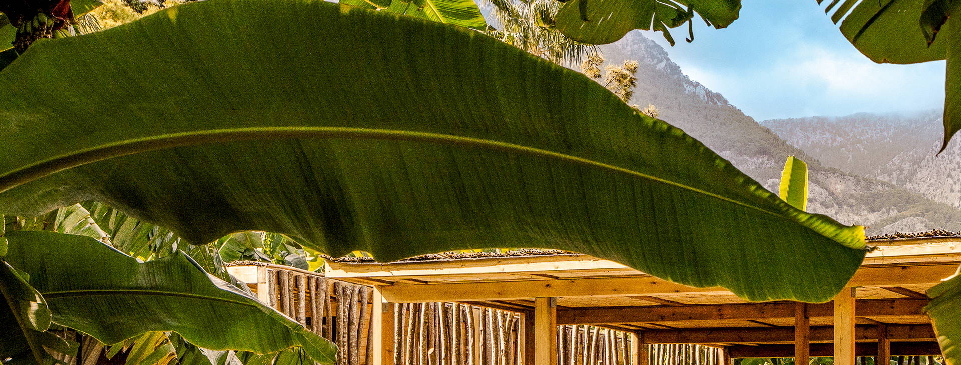 Balmy Beach Resort Obrázok3