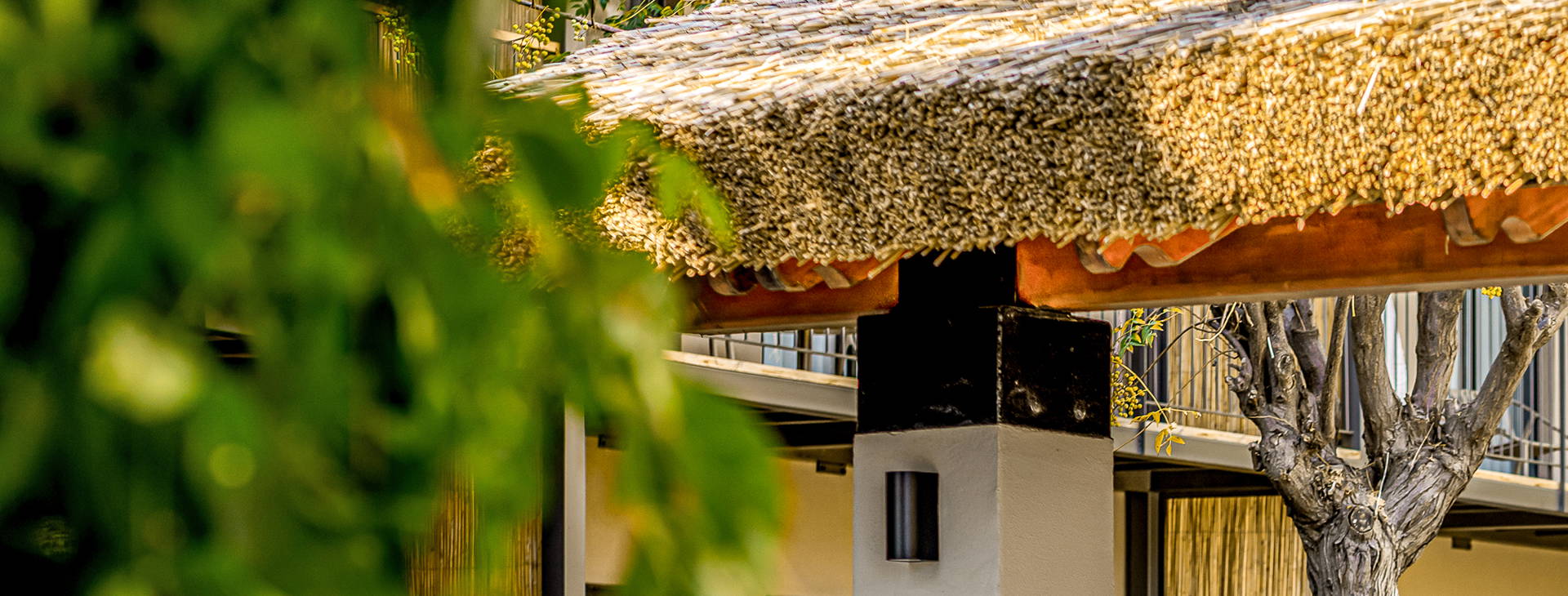 Balmy Beach Resort Obrázok36