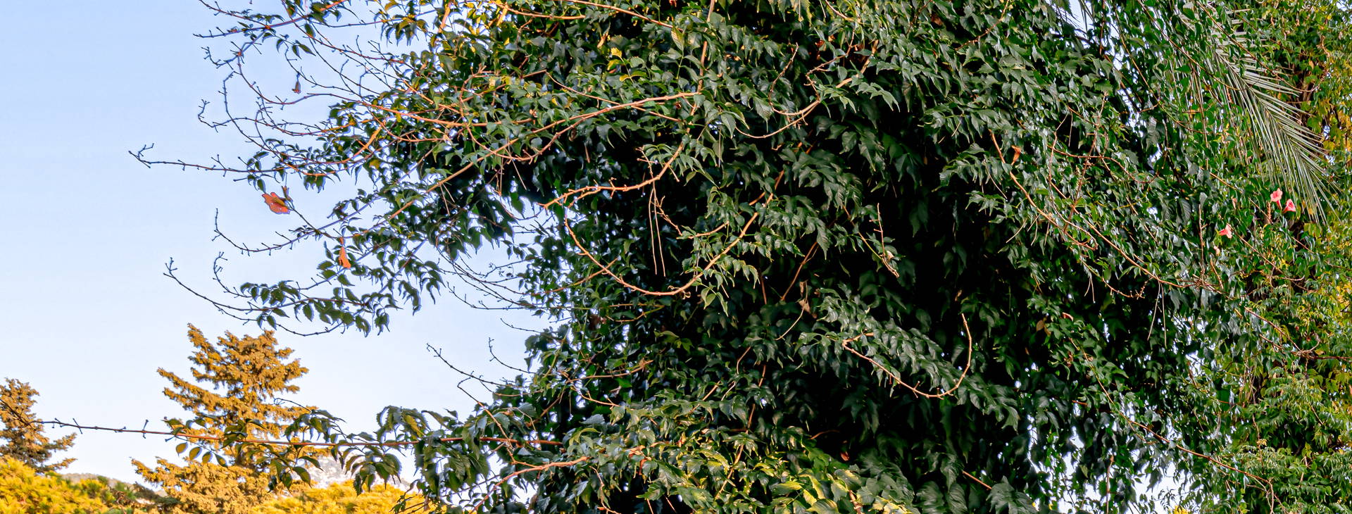 Balmy Beach Resort Obrázok21