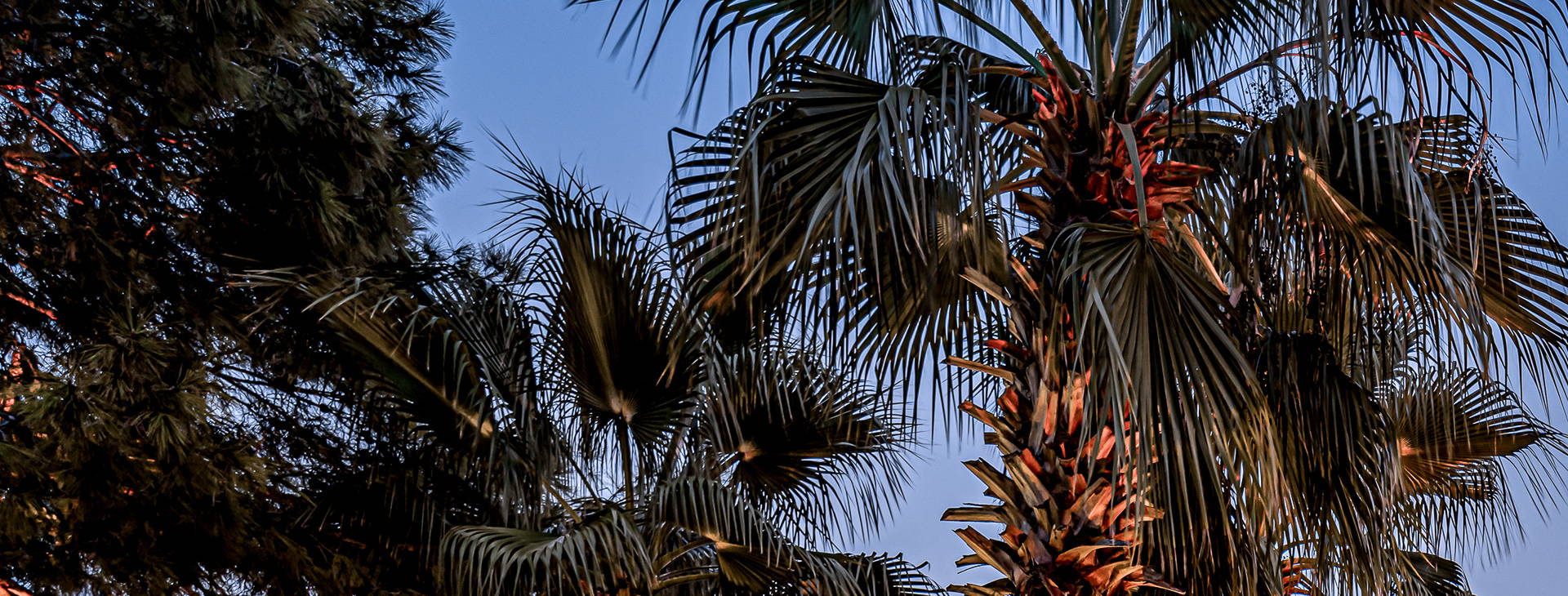 Balmy Beach Resort Obrázok25