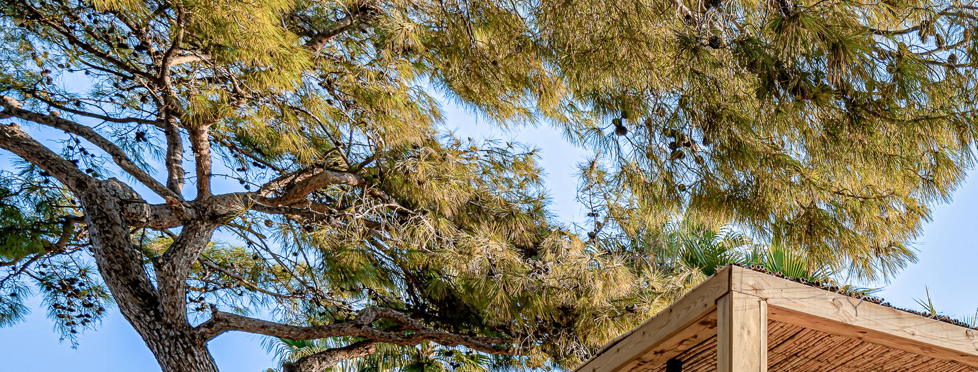 Balmy Beach Resort Obrázok23