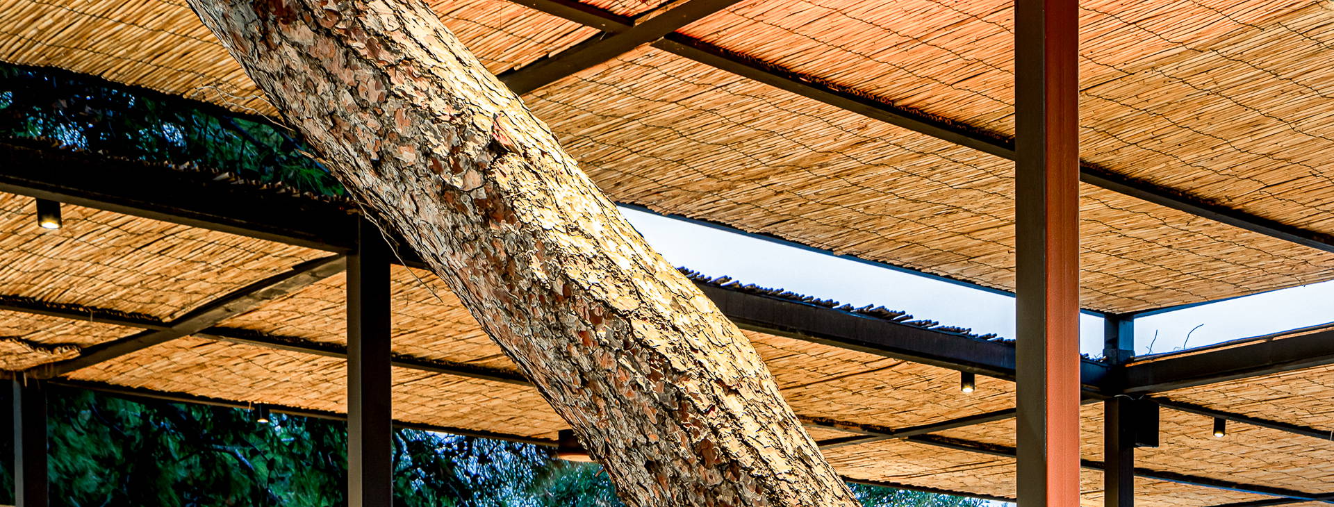 Balmy Beach Resort Obrázok38