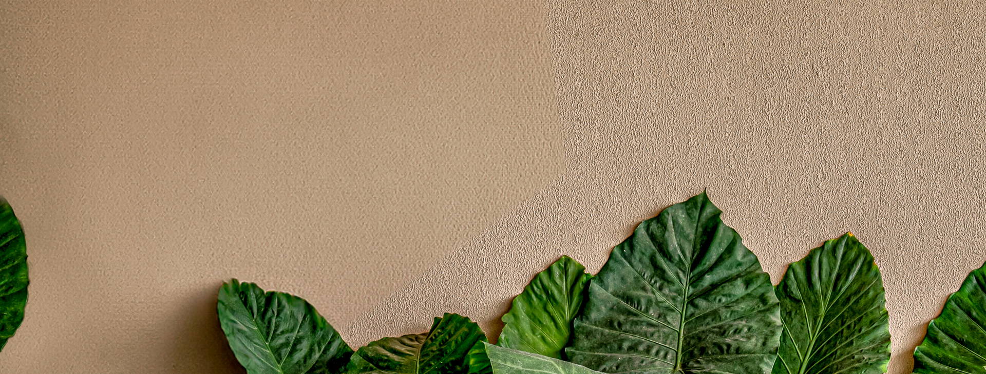 Balmy Beach Resort Obrázok39