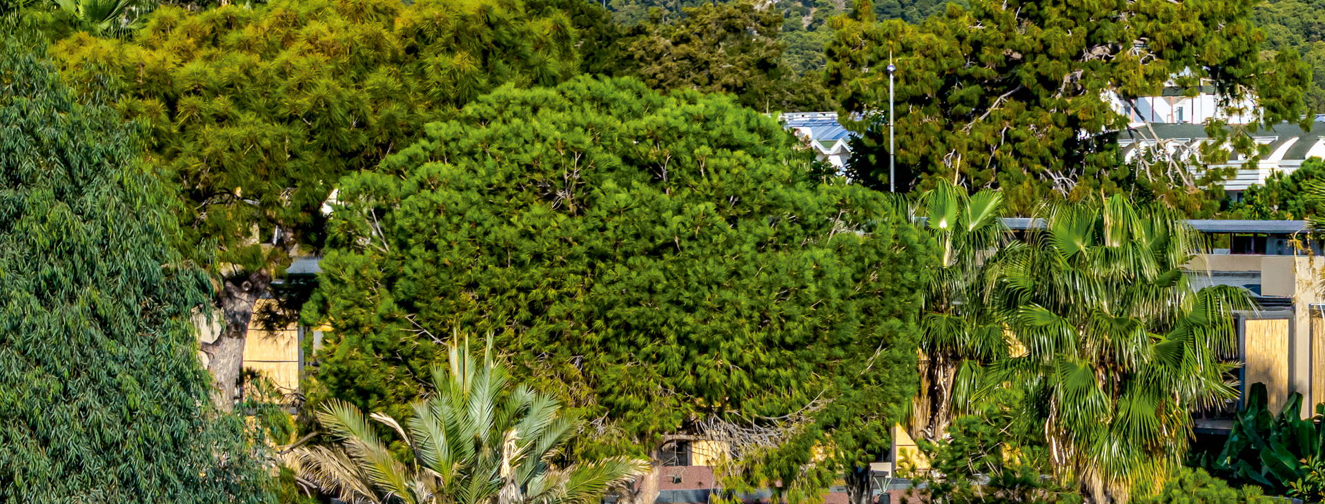 Balmy Beach Resort Obrázok18