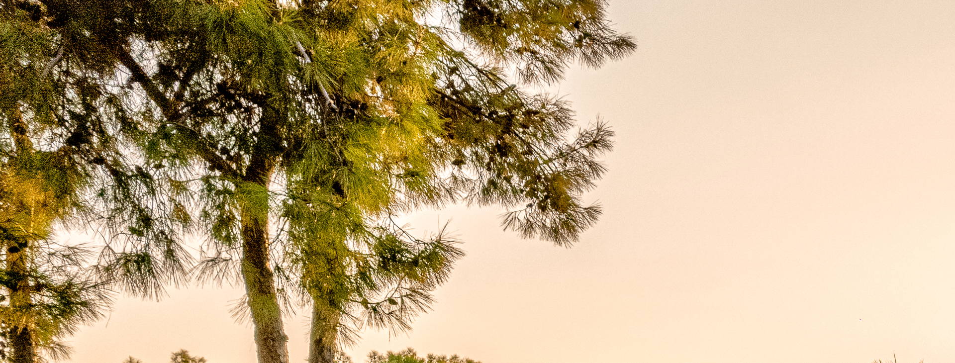 Balmy Beach Resort Obrázok6