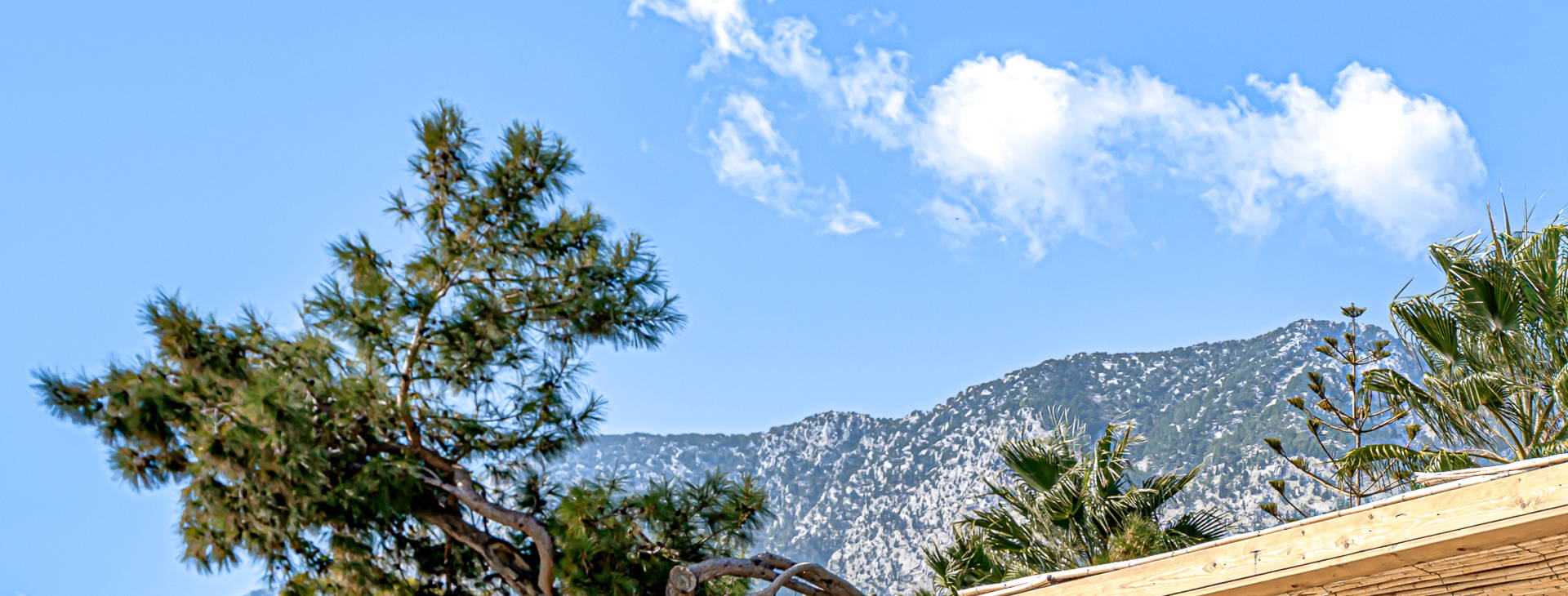 Balmy Beach Resort Obrázok24