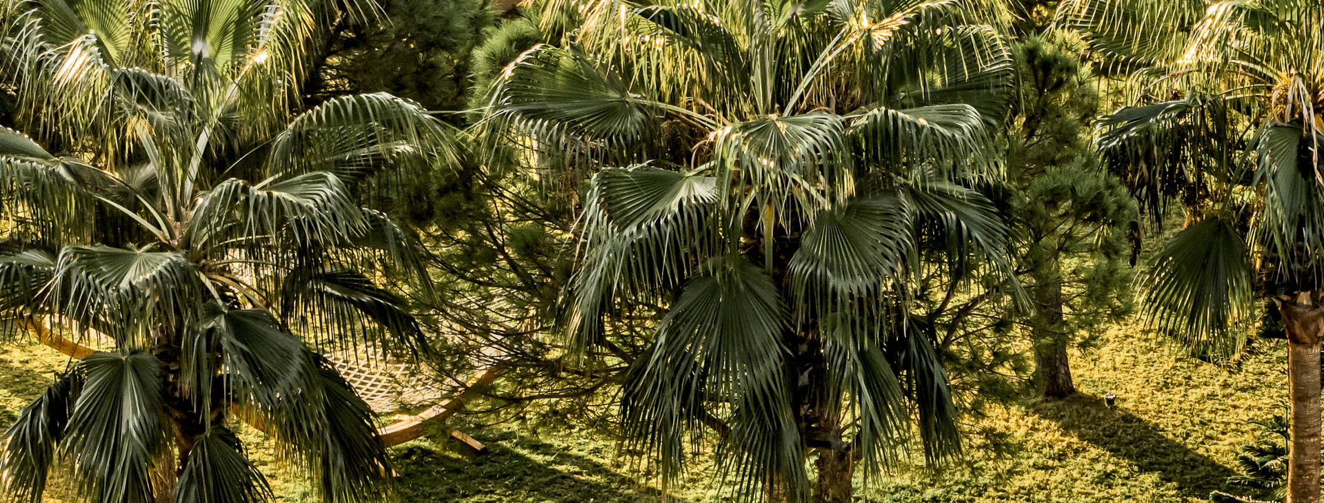 Balmy Beach Resort Obrázok4