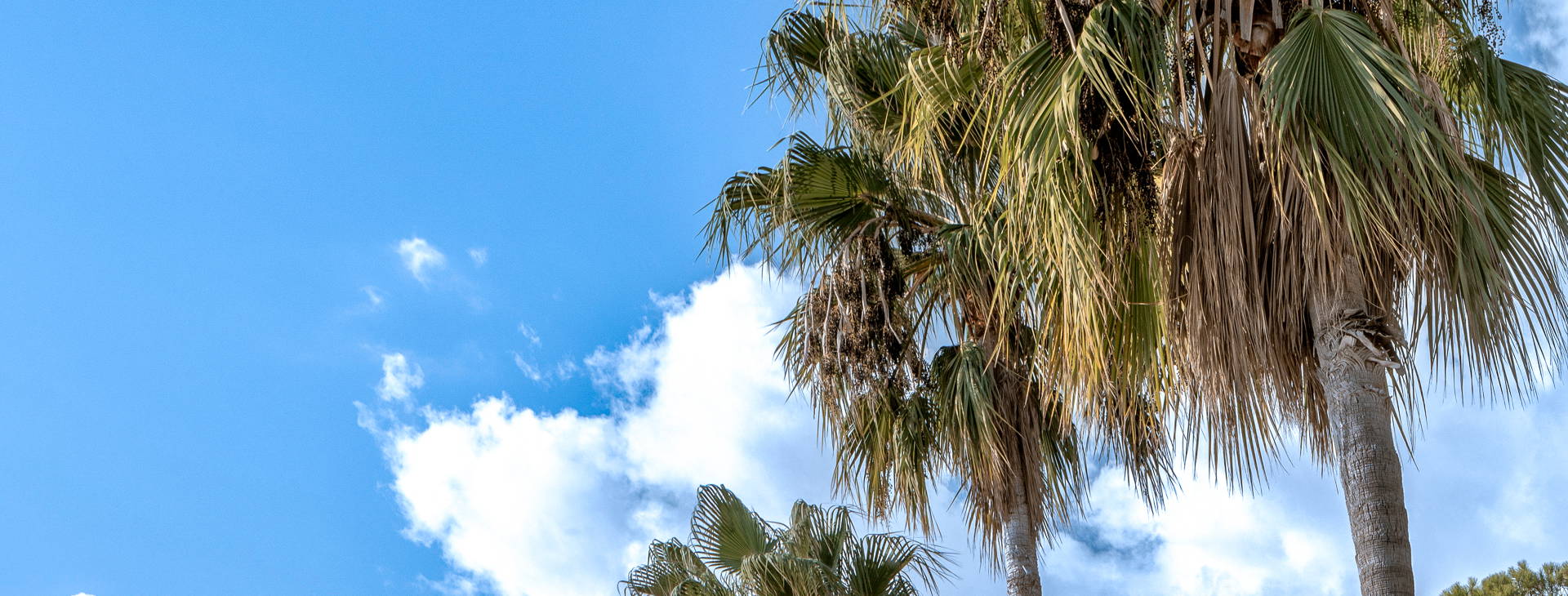 Balmy Beach Resort Obrázok2