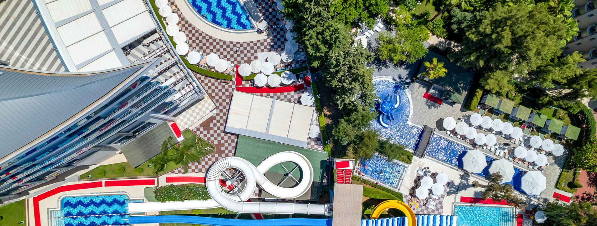 Delphin Botanik Obrázok18