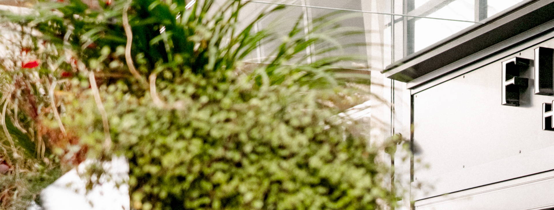 Hotel Fitch Obrázok10