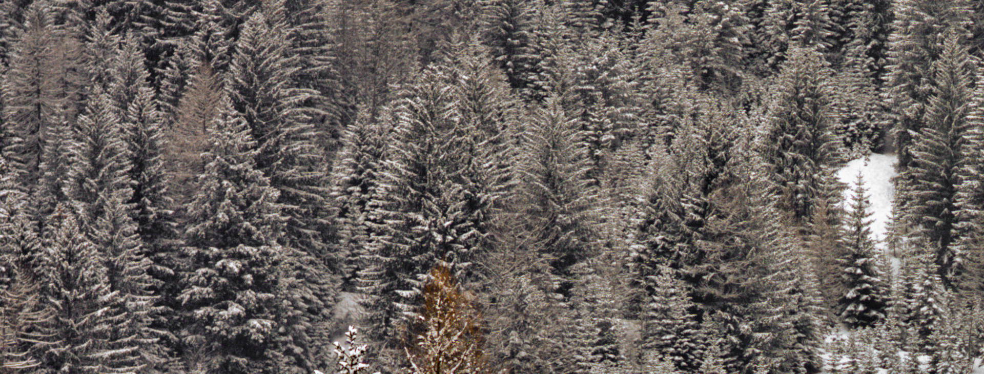 Des Alpes Obrázok2