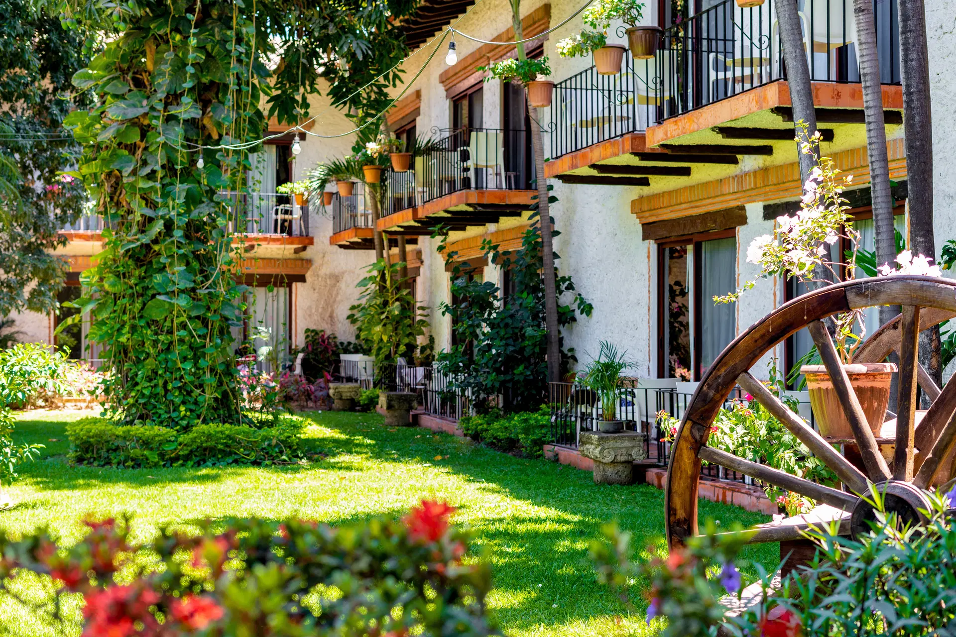 Hacienda Buenaventura Hotel Spa & Beach Club Obrázok17