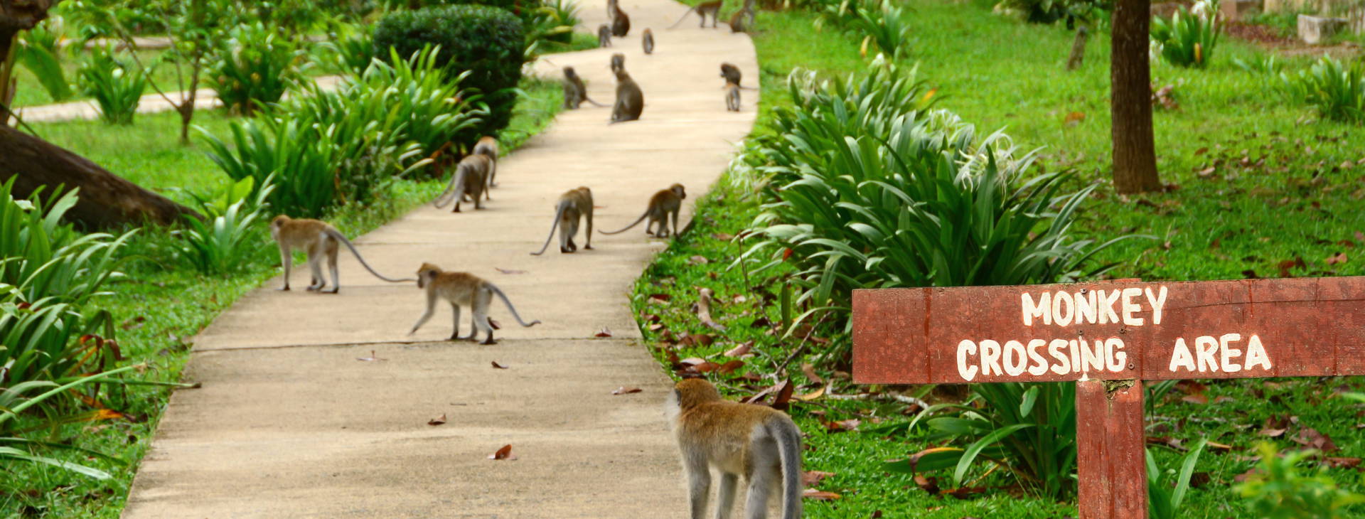 Ubytování SIL Obrázok1