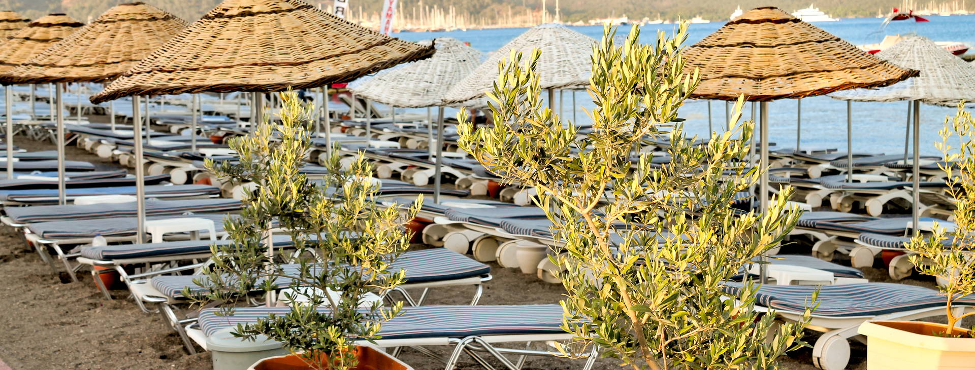 Pasa Garden Obrázok4