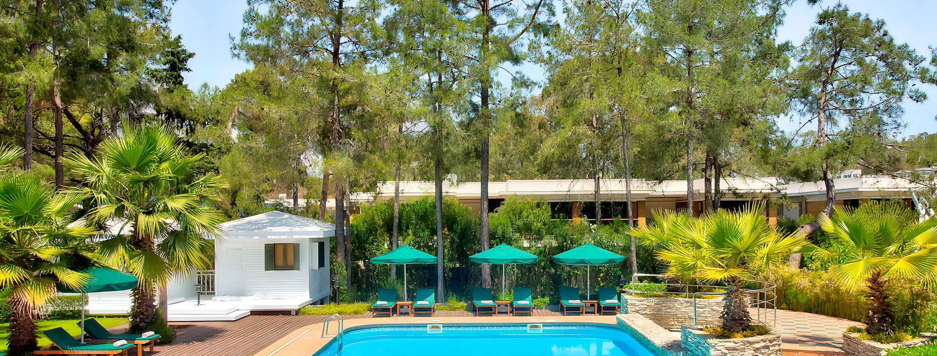 Balmy Foresta Obrázok3