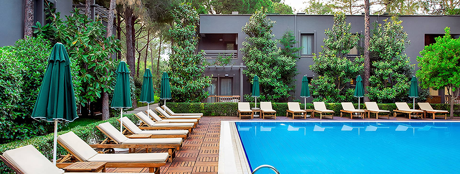 Balmy Foresta Obrázok2