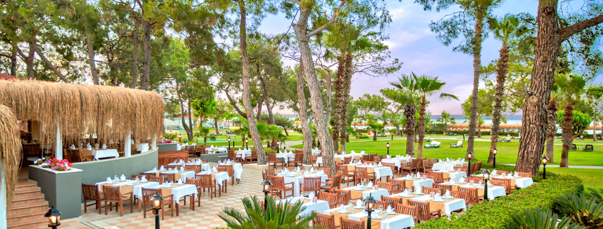 Balmy Foresta Obrázok12