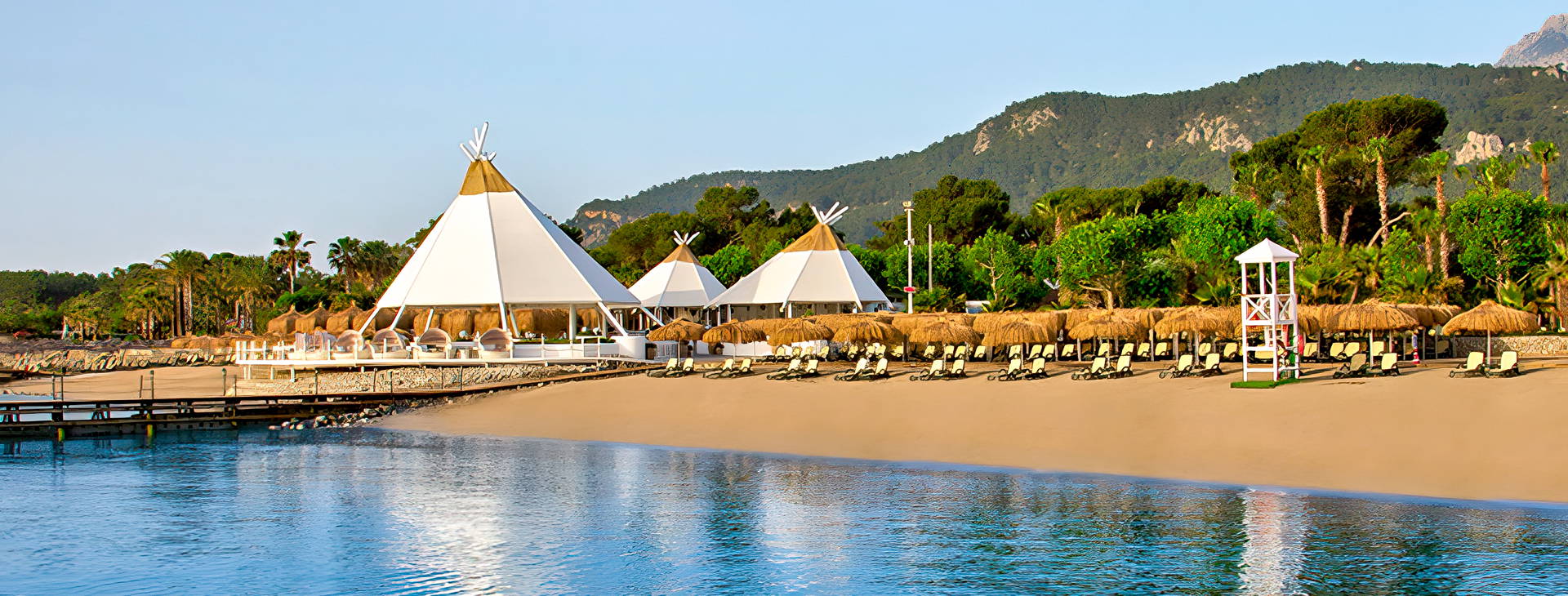 Balmy Foresta Obrázok5