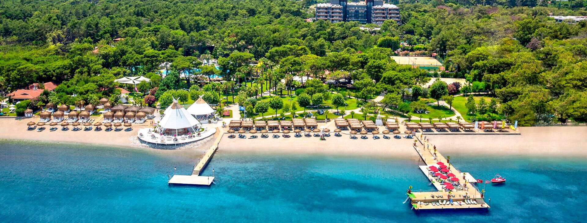 Balmy Foresta Obrázok0