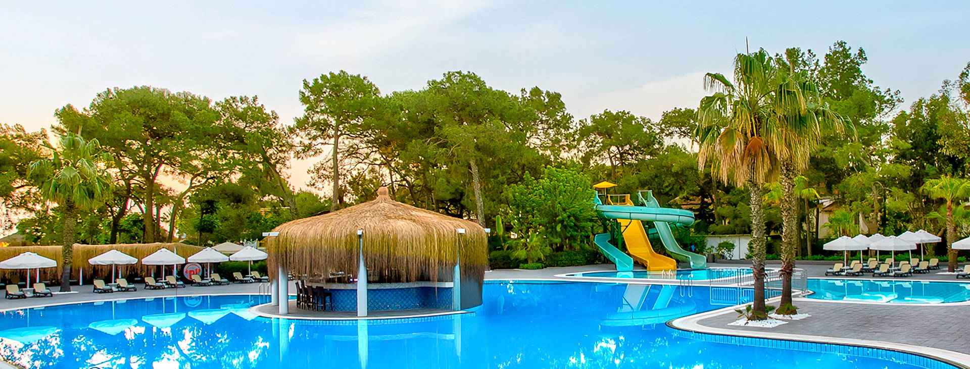 Balmy Foresta Obrázok1