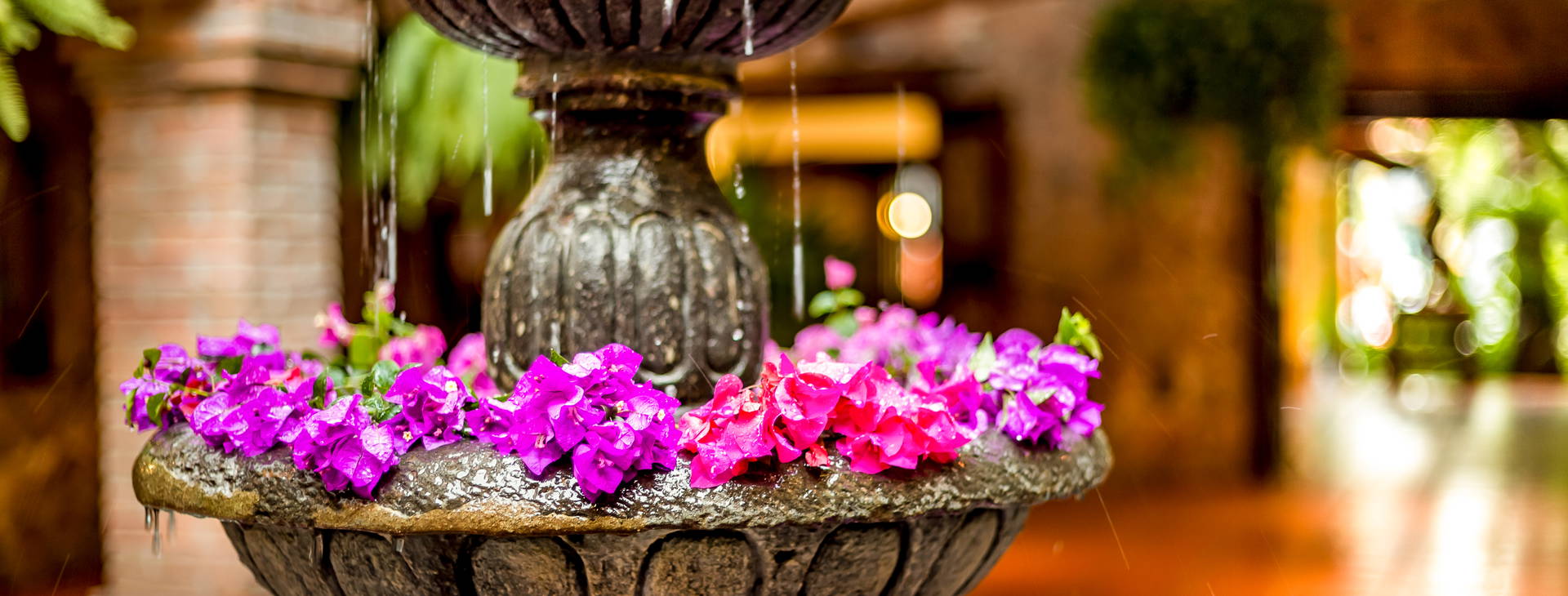 Hacienda Buenaventura Hotel Spa & Beach Club Obrázok25