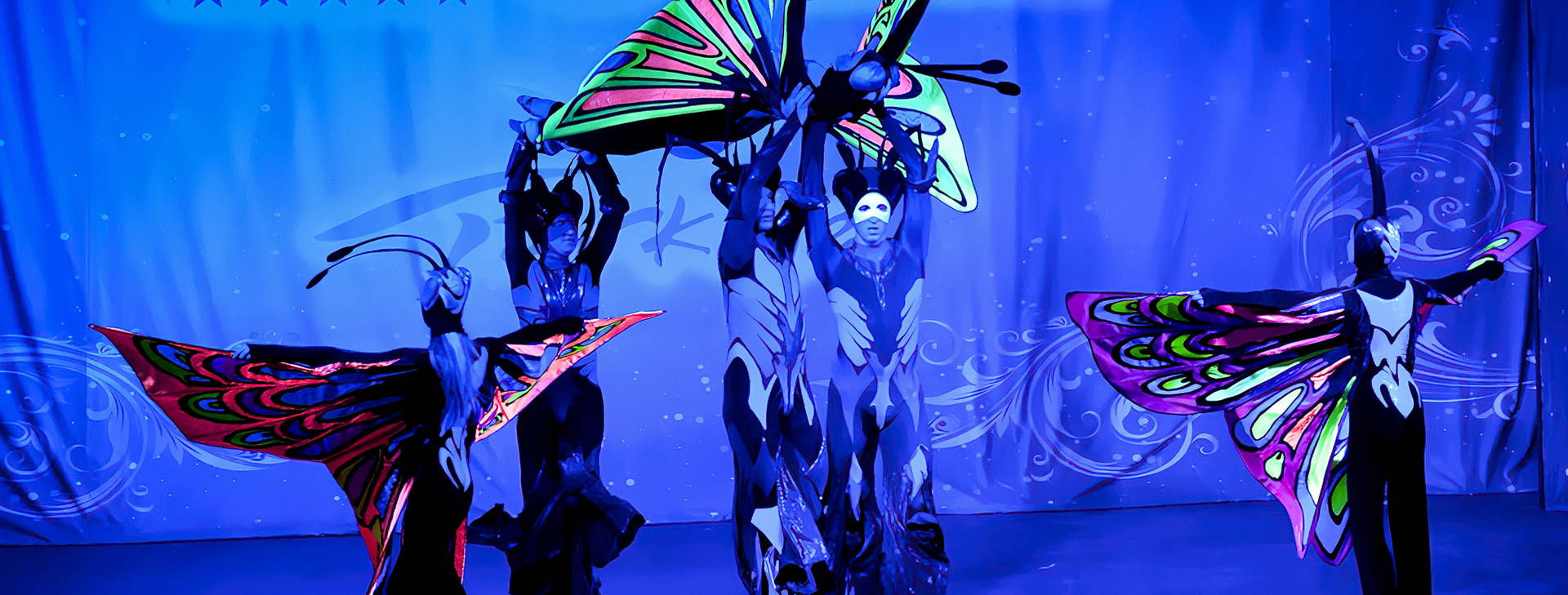 Belconti Obrázok29