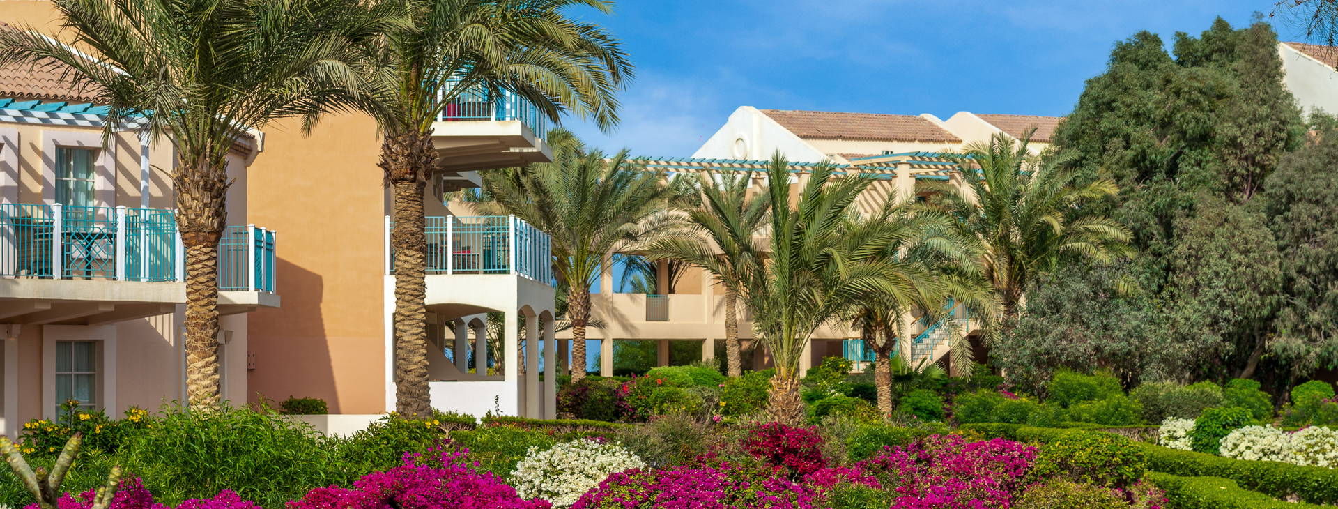 Movenpick Resort and Spa El Gouna Obrázok5