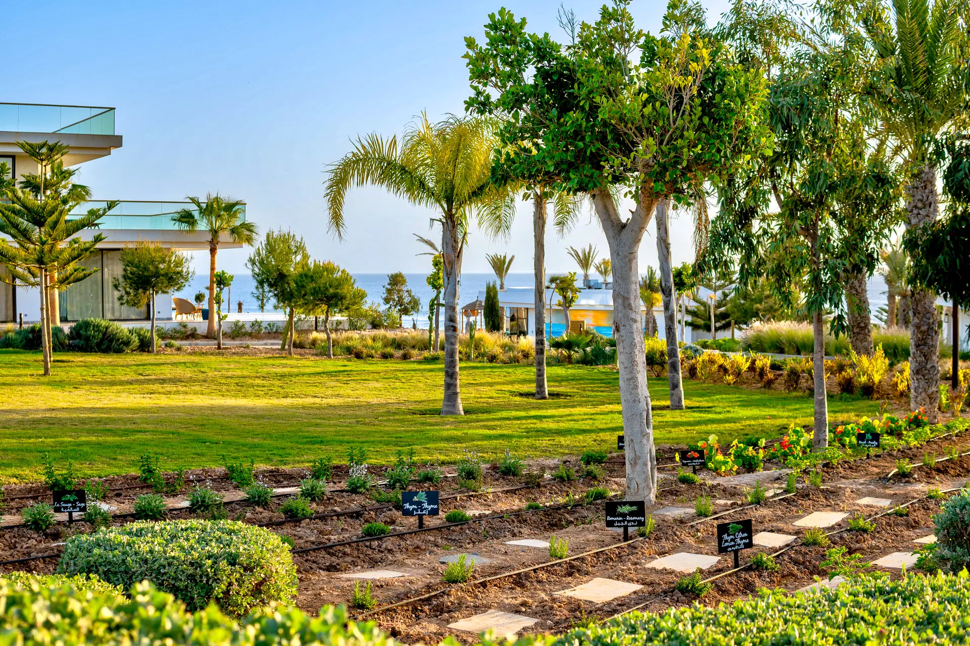 Hyatt Regency Taghazout Obrázok75