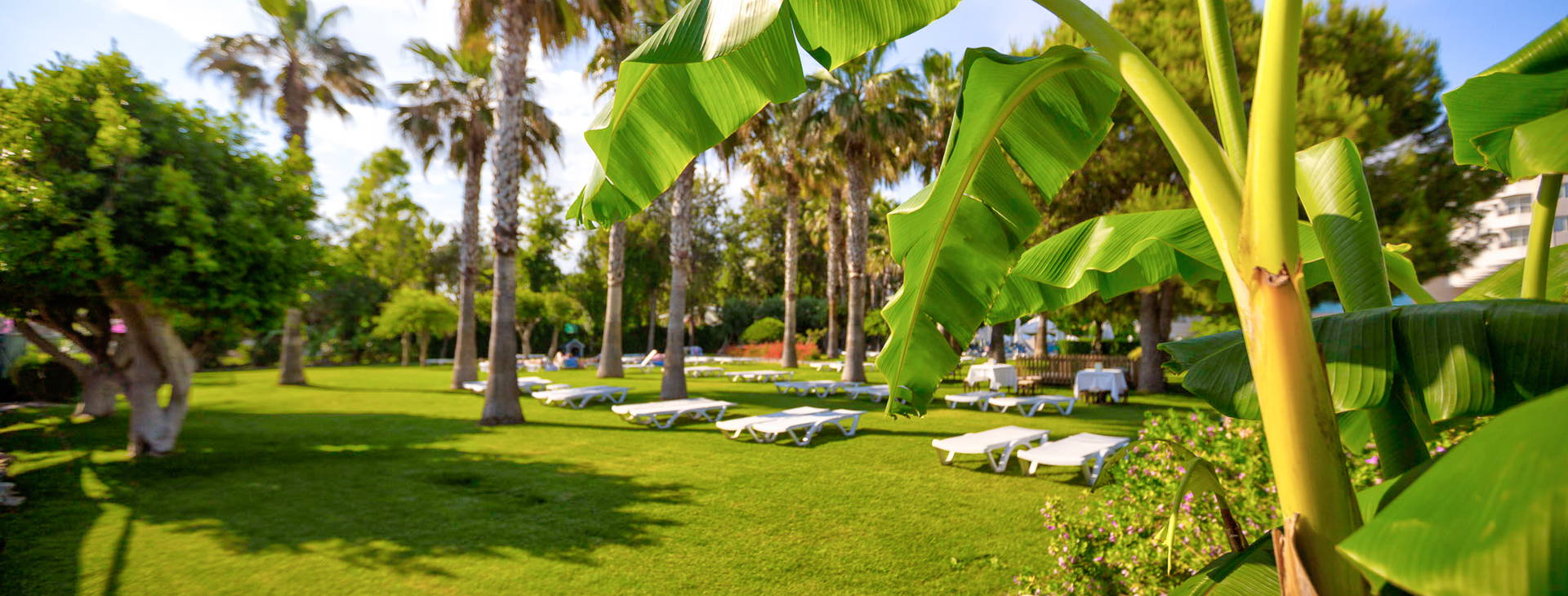 Terrace Beach Resort Obrázok20